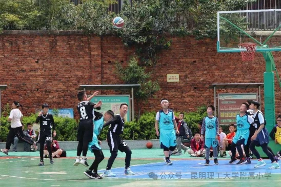 篮球一周训练计划方案表格_1